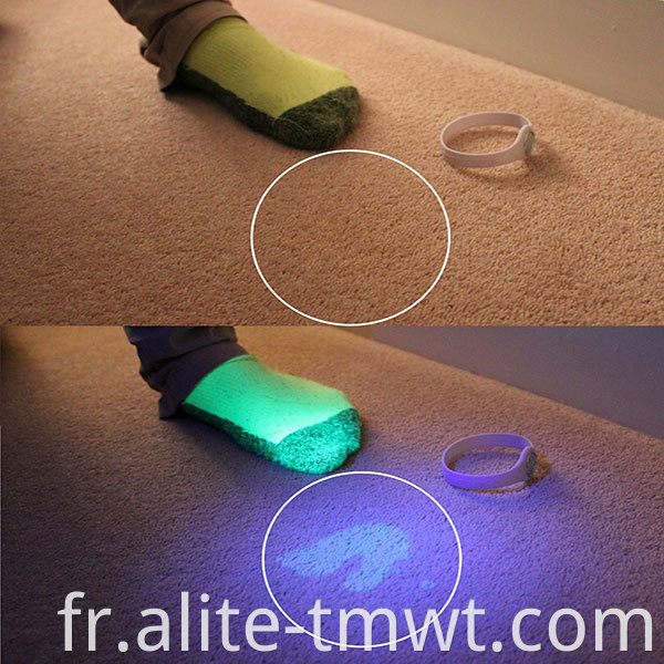 Torche UV LED ultraviolet à lampe noire rechargeable avec zoom